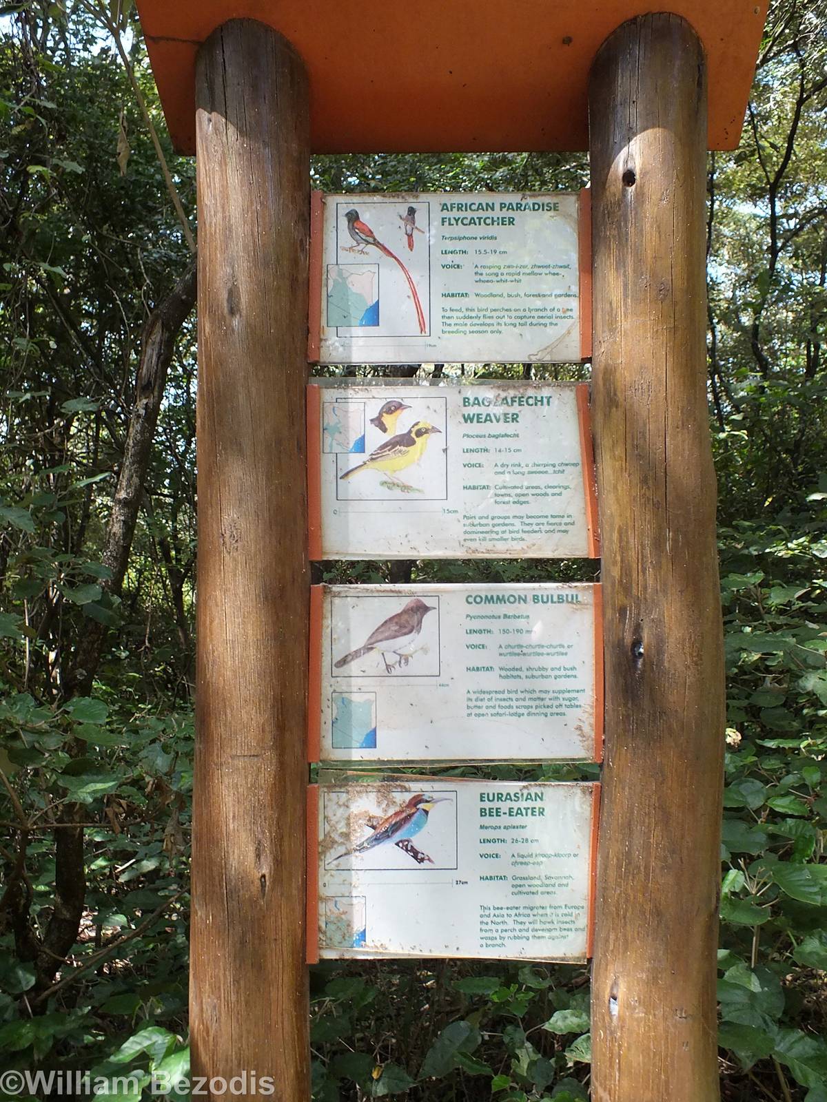 Sign Showing Wild Birds that can be Spotted - Nairobi Safari Walk