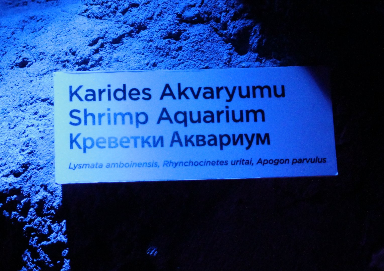 Sign Shrimp-aquarium