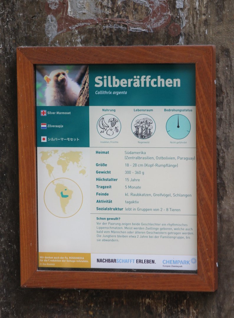 Sign Silver marmoset