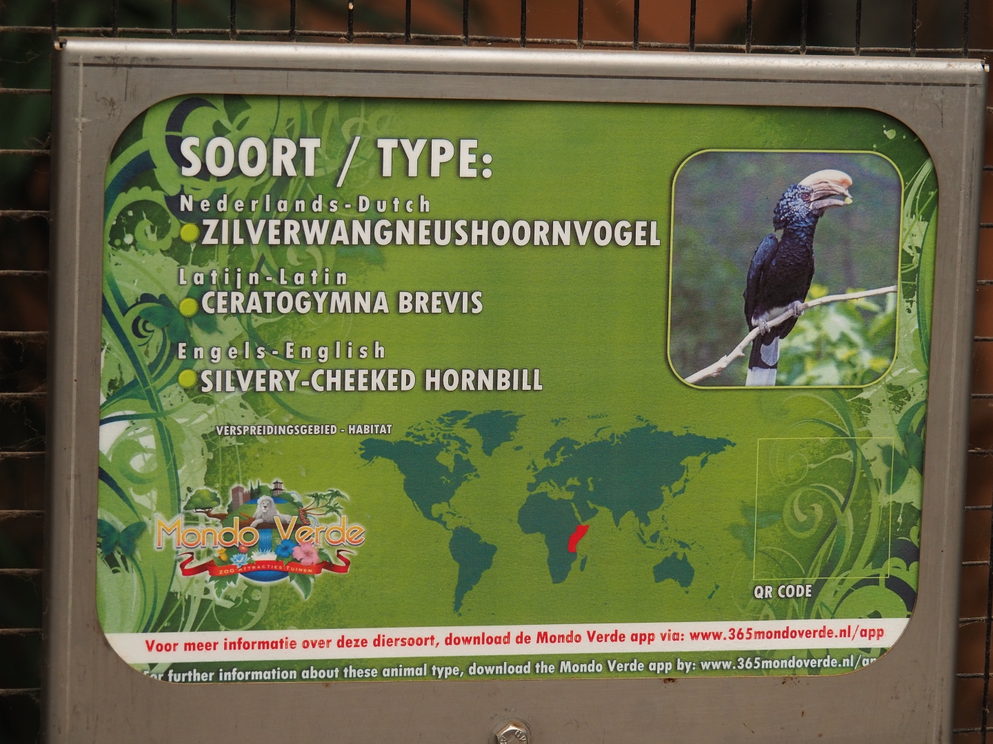 Sign Silvery-cheeked hornbill (Aug 28th, 2018)