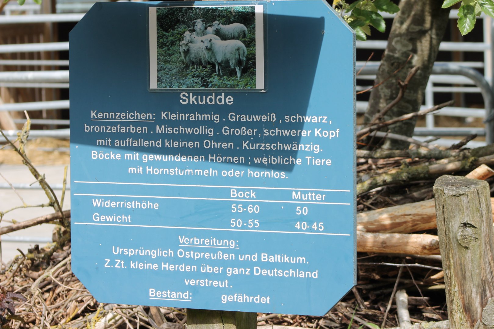 Sign Skudde