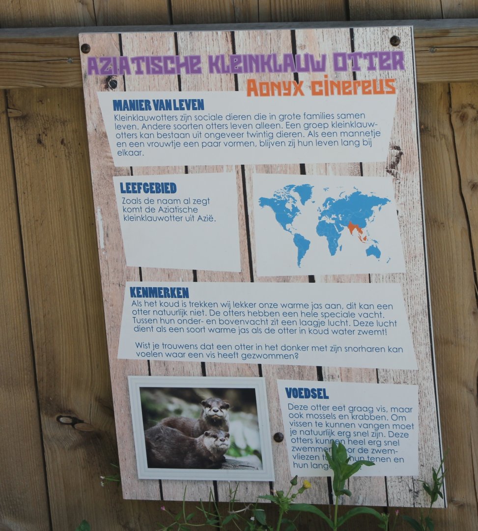 Sign Small-clawed otter