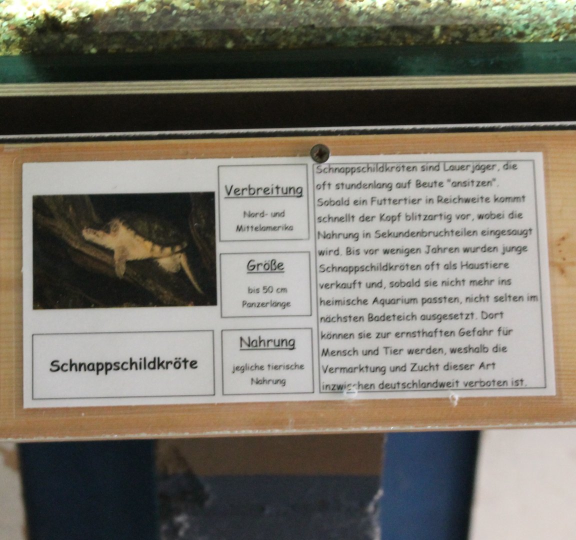 Sign Snapping turtle