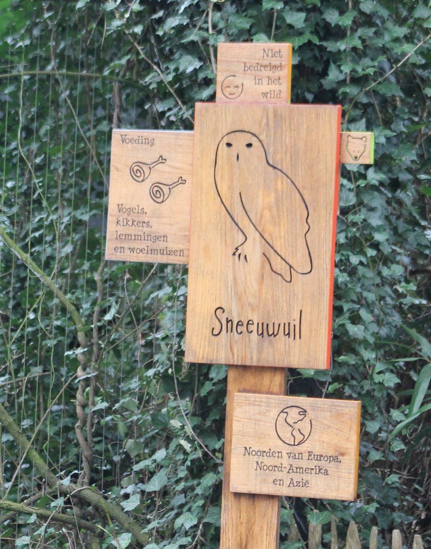 Sign Snowy owl