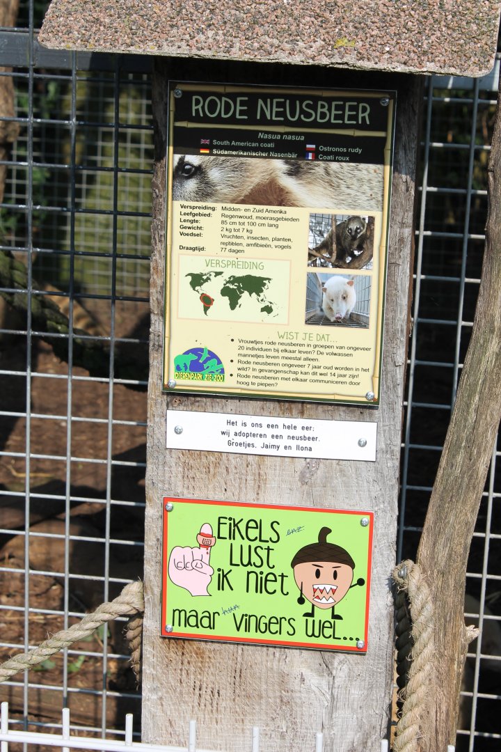 Sign South American coati
