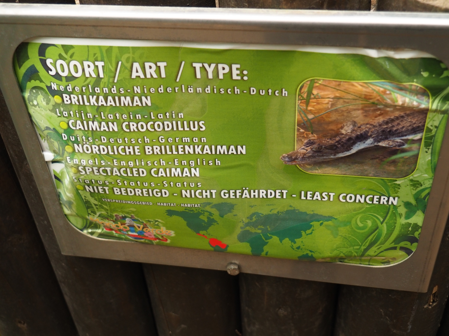 Sign spectacled caiman (Aug 28th, 2018)