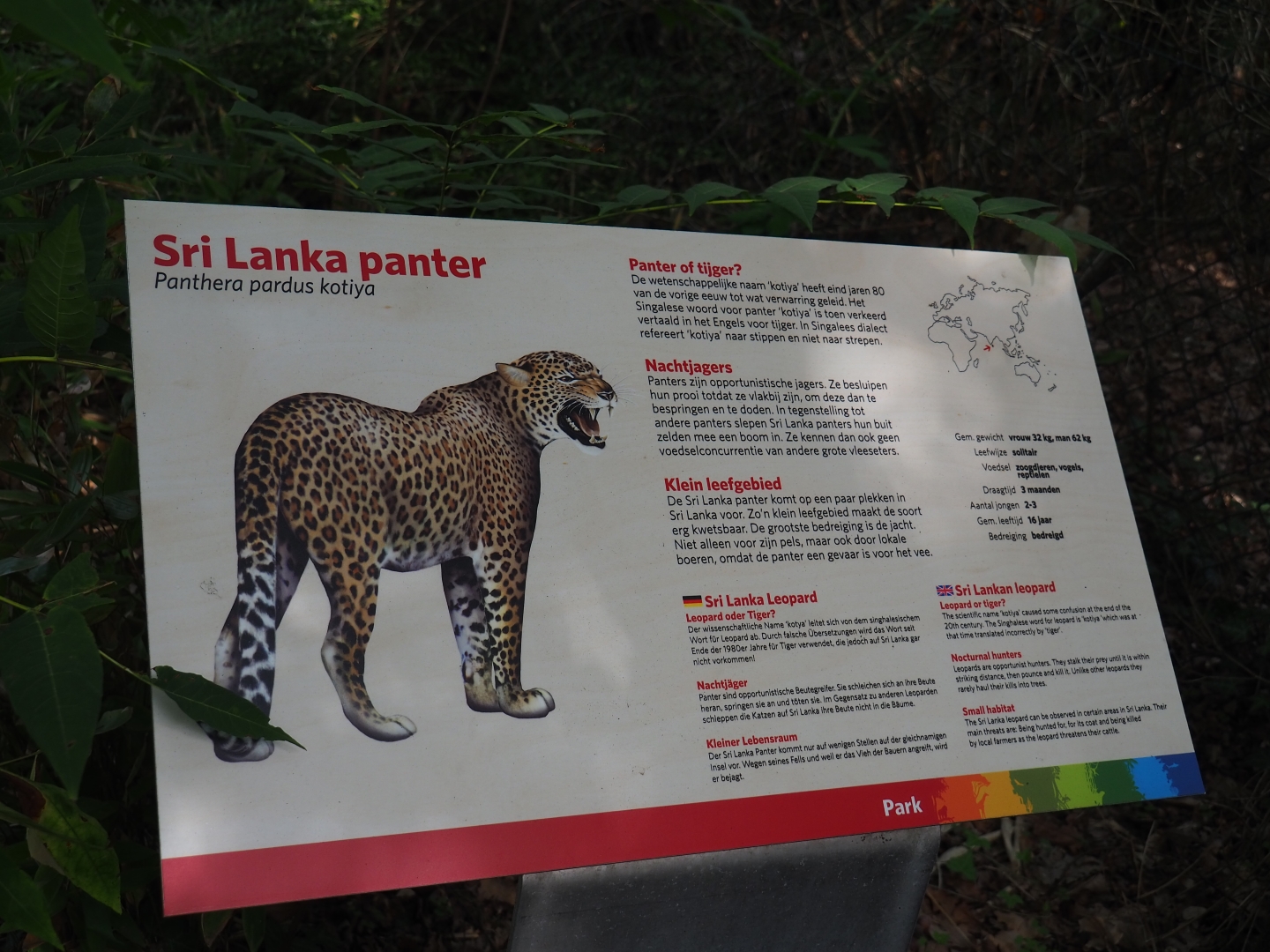 Sign Sri Lankan leopard (Sep 16th, 2018)