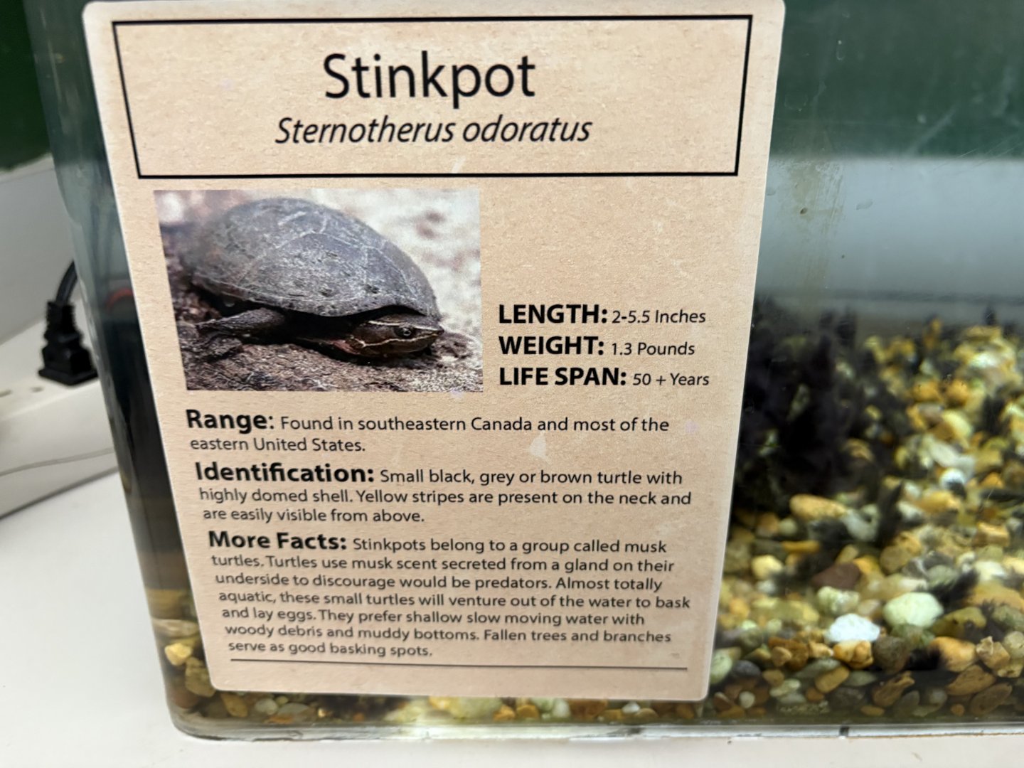 Sign - Stinkpot