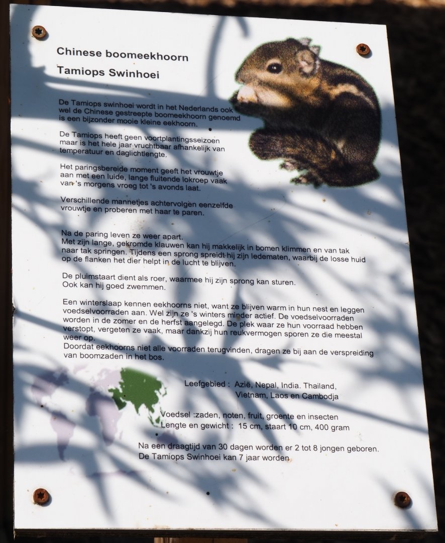 Sign Swinhoe's striped squirrel exhibit, 2019-06-01
