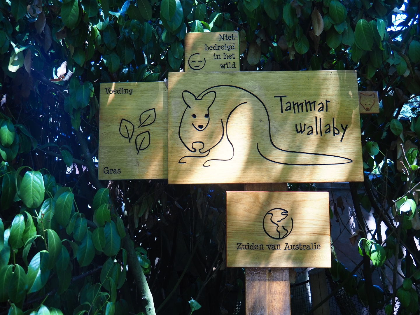 Sign tammar wallaby
