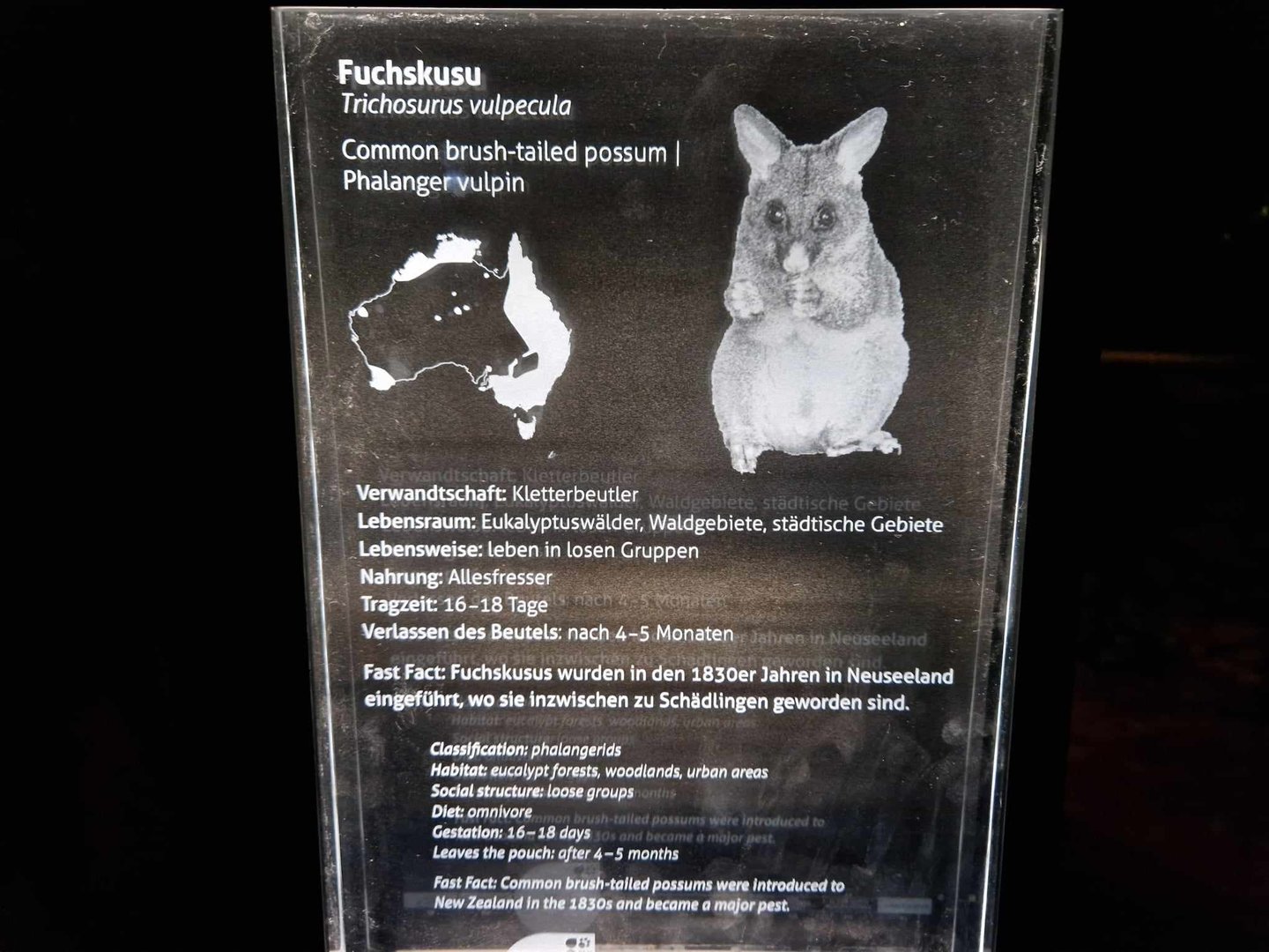 Sign, Terra Australis