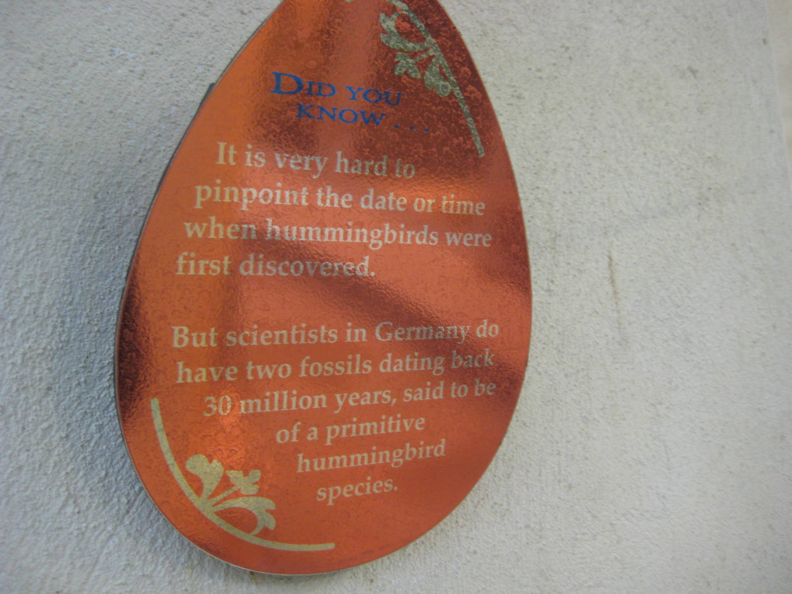 Sign that makes no sense!