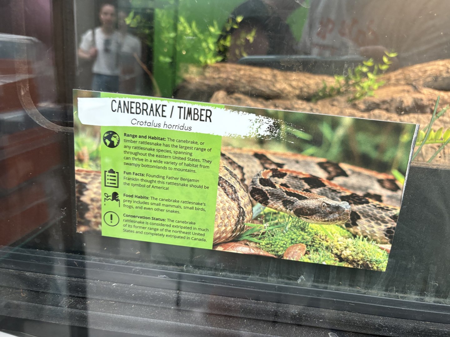 Sign - Timber Rattlesnake