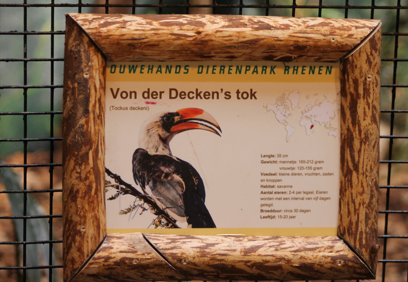 Sign Von der Decken's hornbill