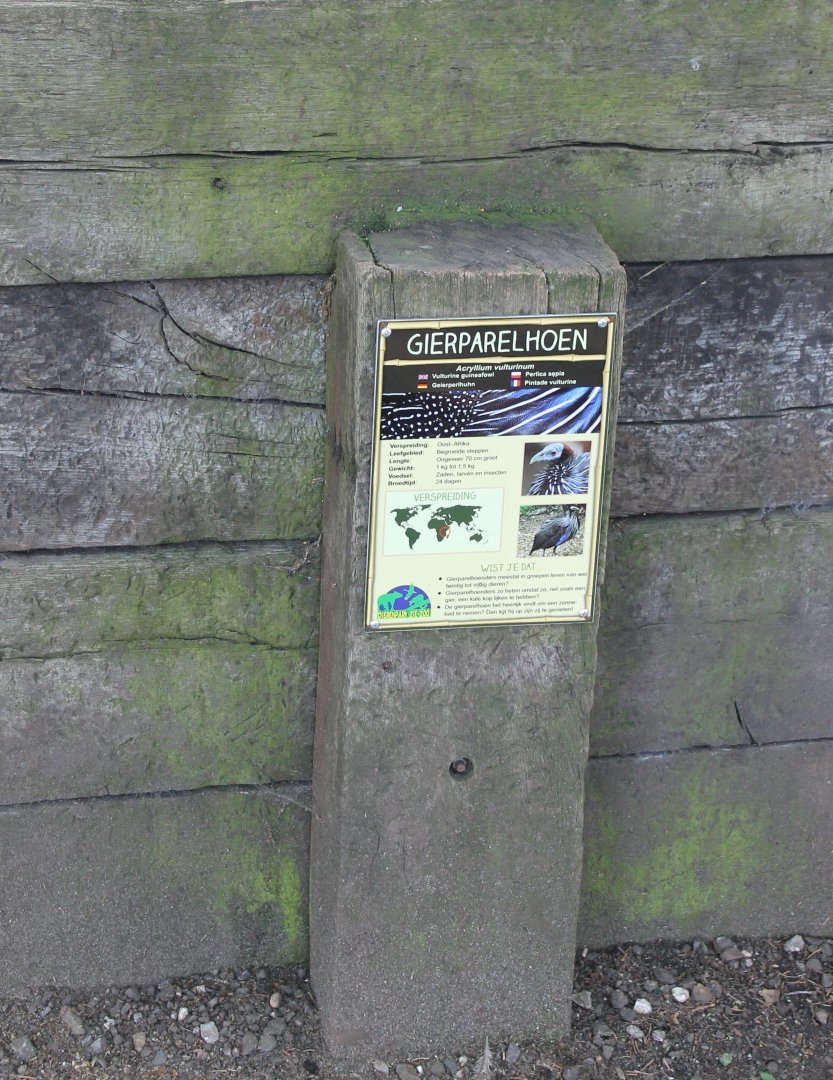 Sign Vulturine guineafowl
