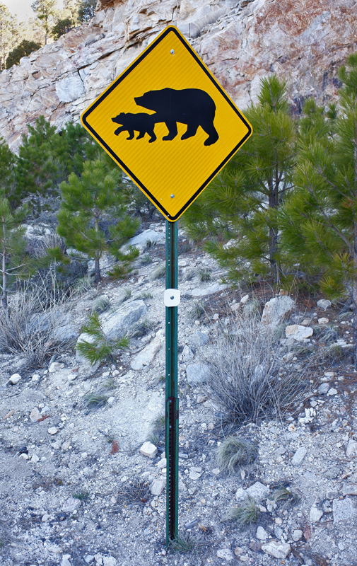 Sign warning of black bears