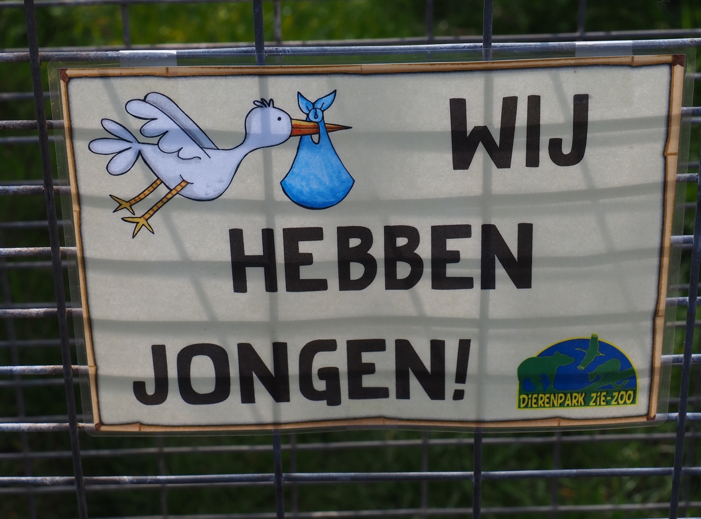 Sign we have cubs, 2019-04-06