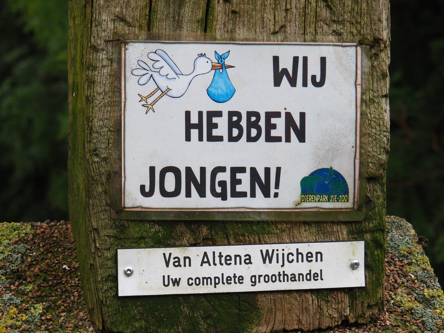 Sign We have joeys, 2019-04-06