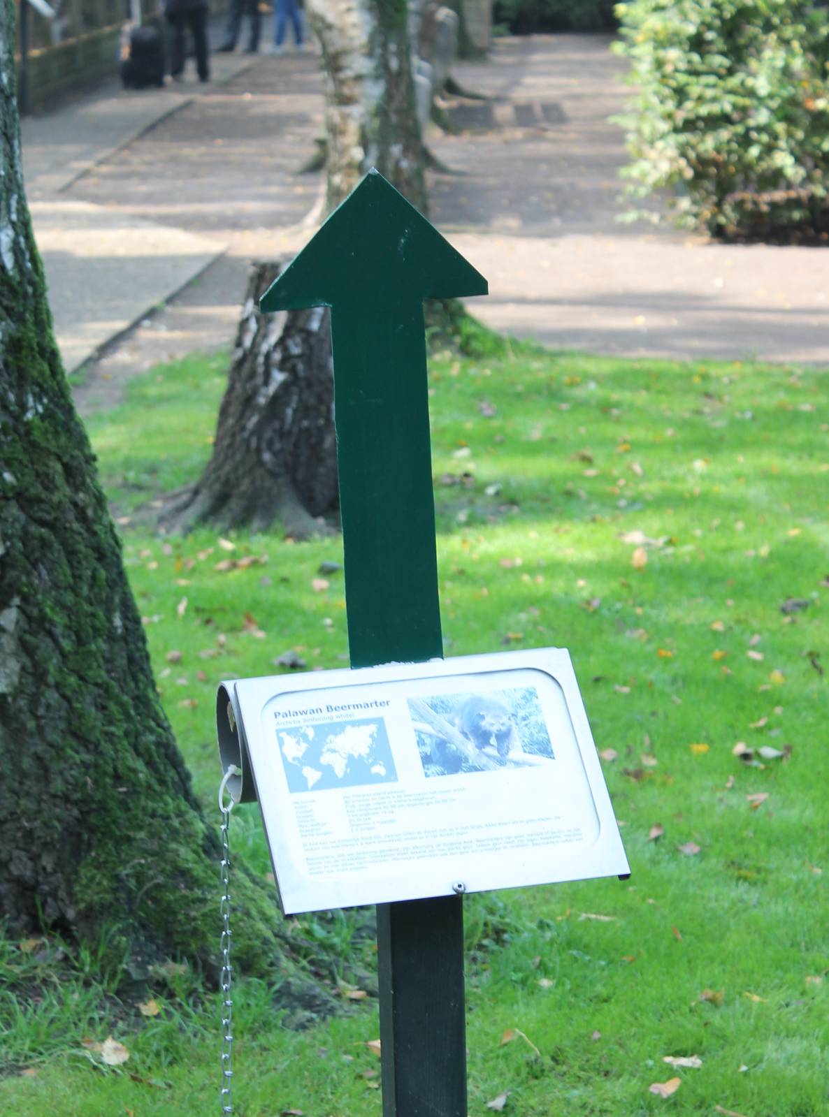 Sign where to find Palawan binturong !