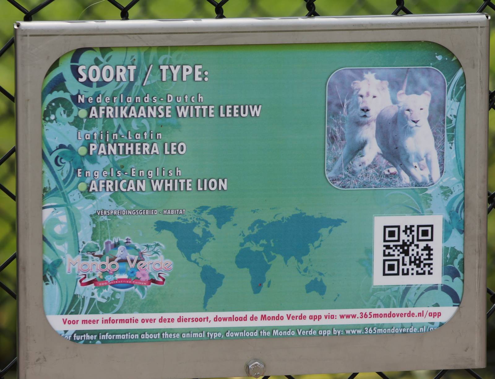 Sign White lions