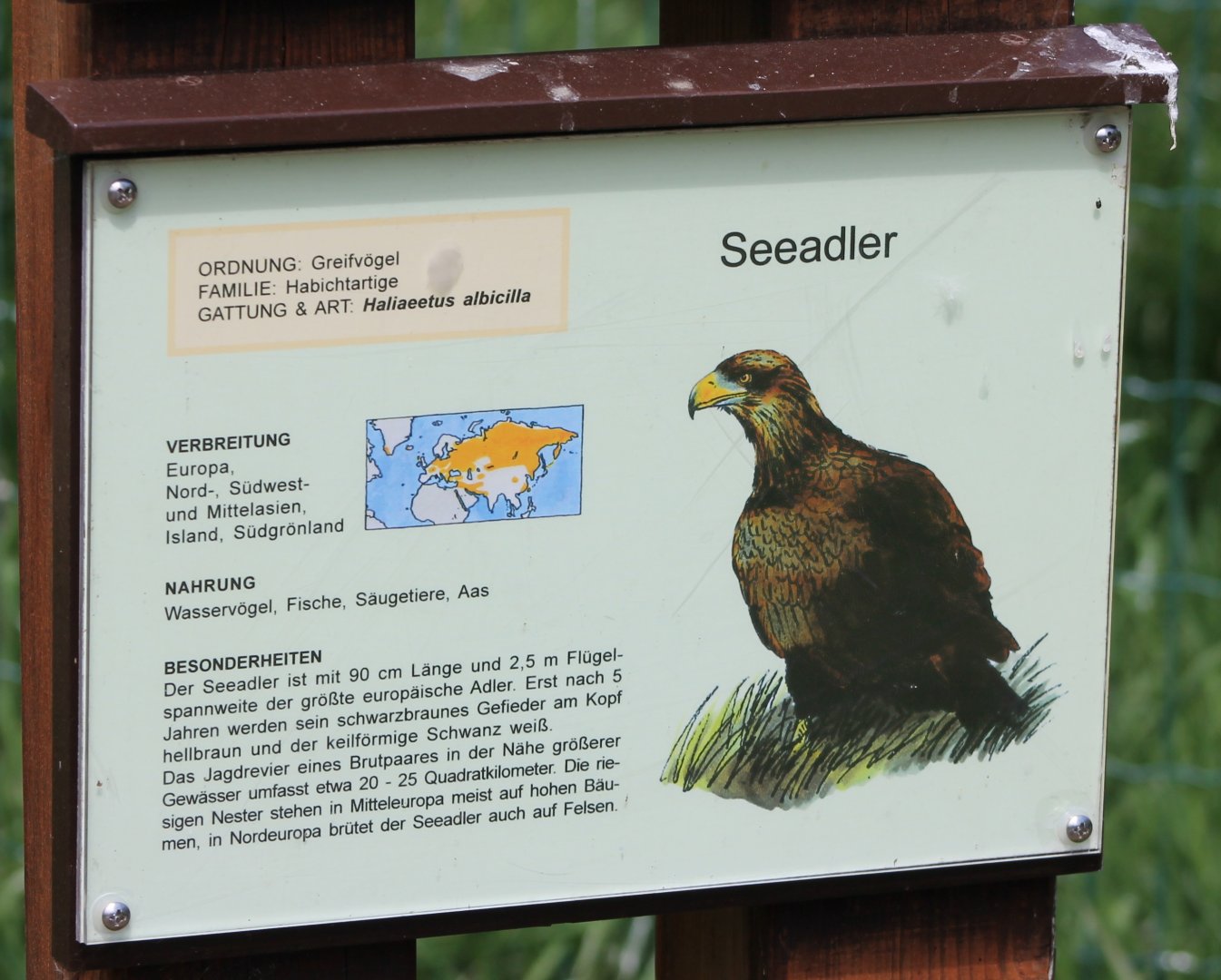 Sign White-tailed sea-eagle