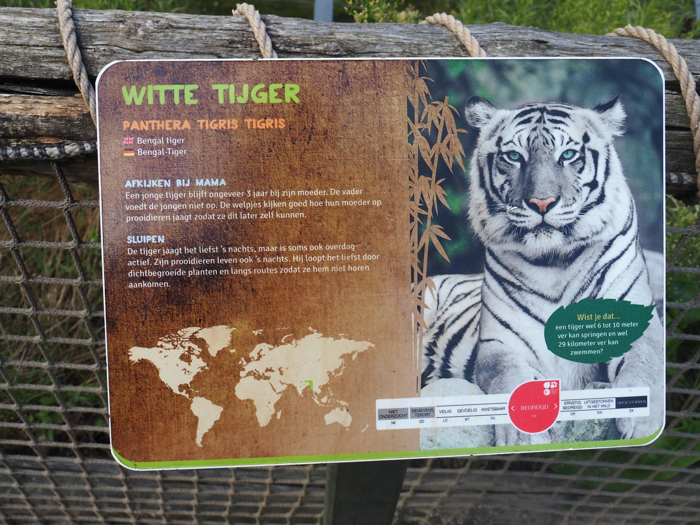 Sign White tiger - Incorrectly labeled as Bengal tiger, 2019-08-11