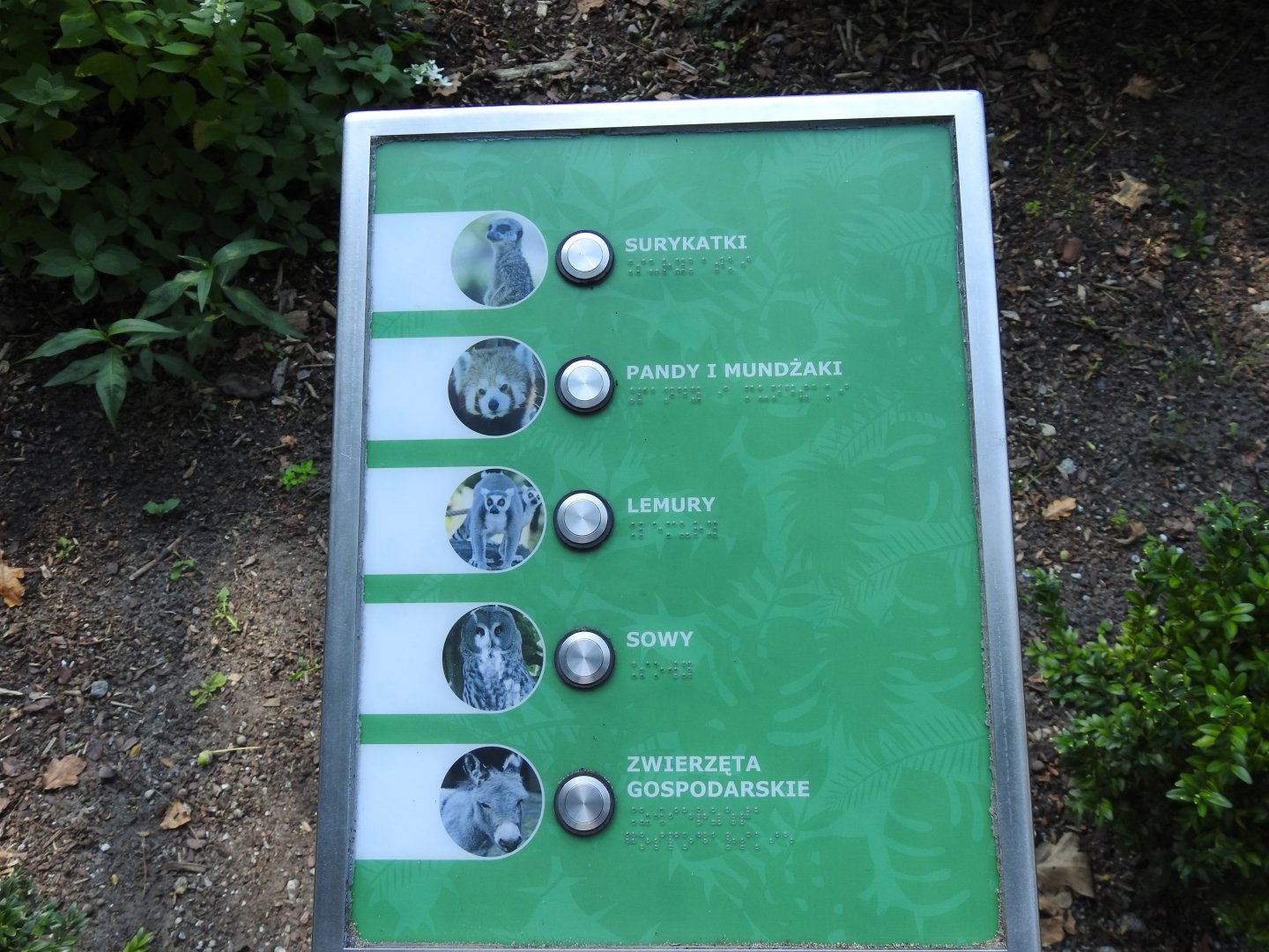 sign with a sound for the deaf and not only