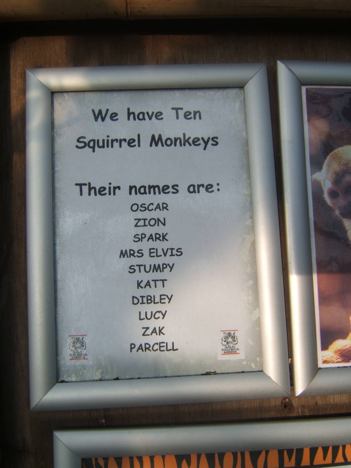 Sign with list of names of Squirrel Monkeys