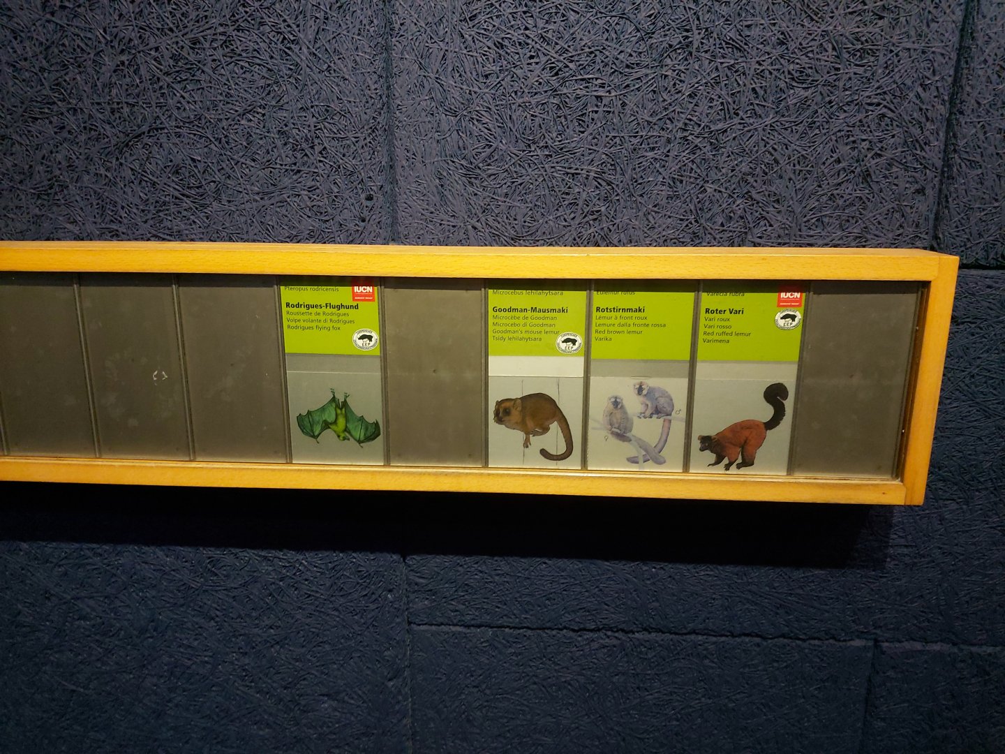 Sign with the different species who live in Masoala Rainforest (July 2020)