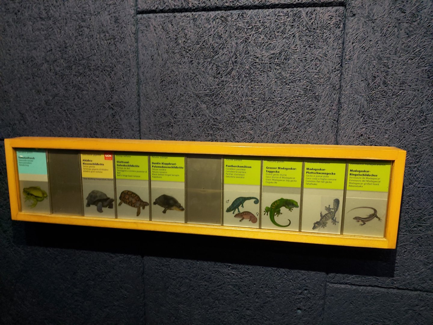 Sign with the different species who live in Masoala Rainforest (July 2020)