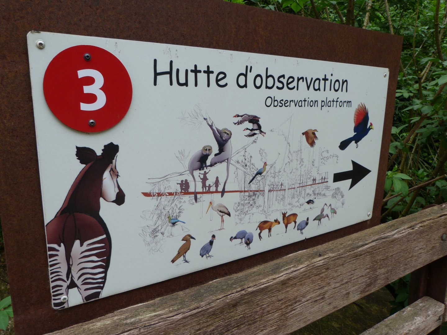 Sign within "Le Sanctuaire des okapis" -Bioparc de Doué la Fontaine (2025)
