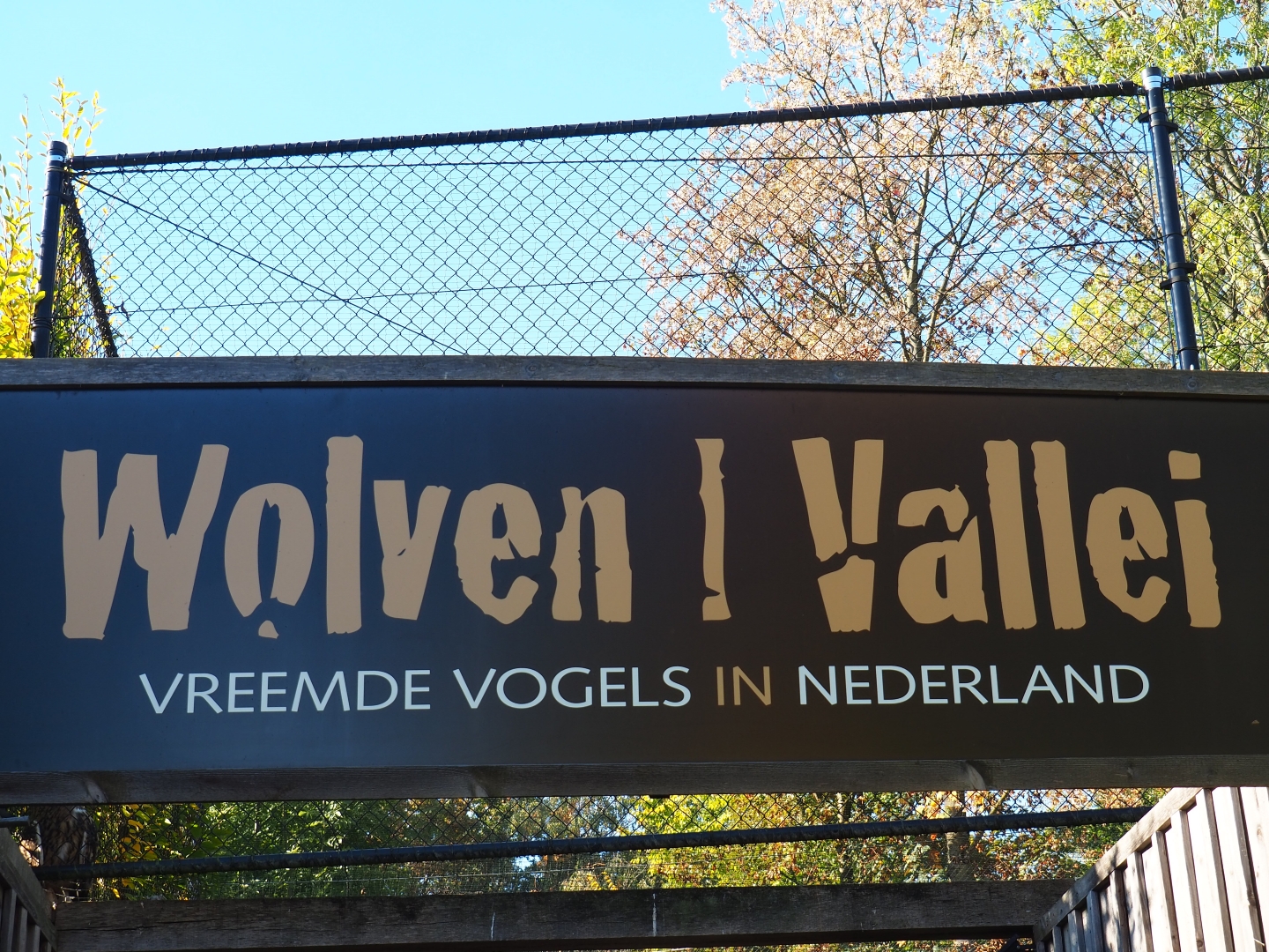 Sign Wolf valley - Foreign birds in the Netherlands (Oct 13th, 2018)