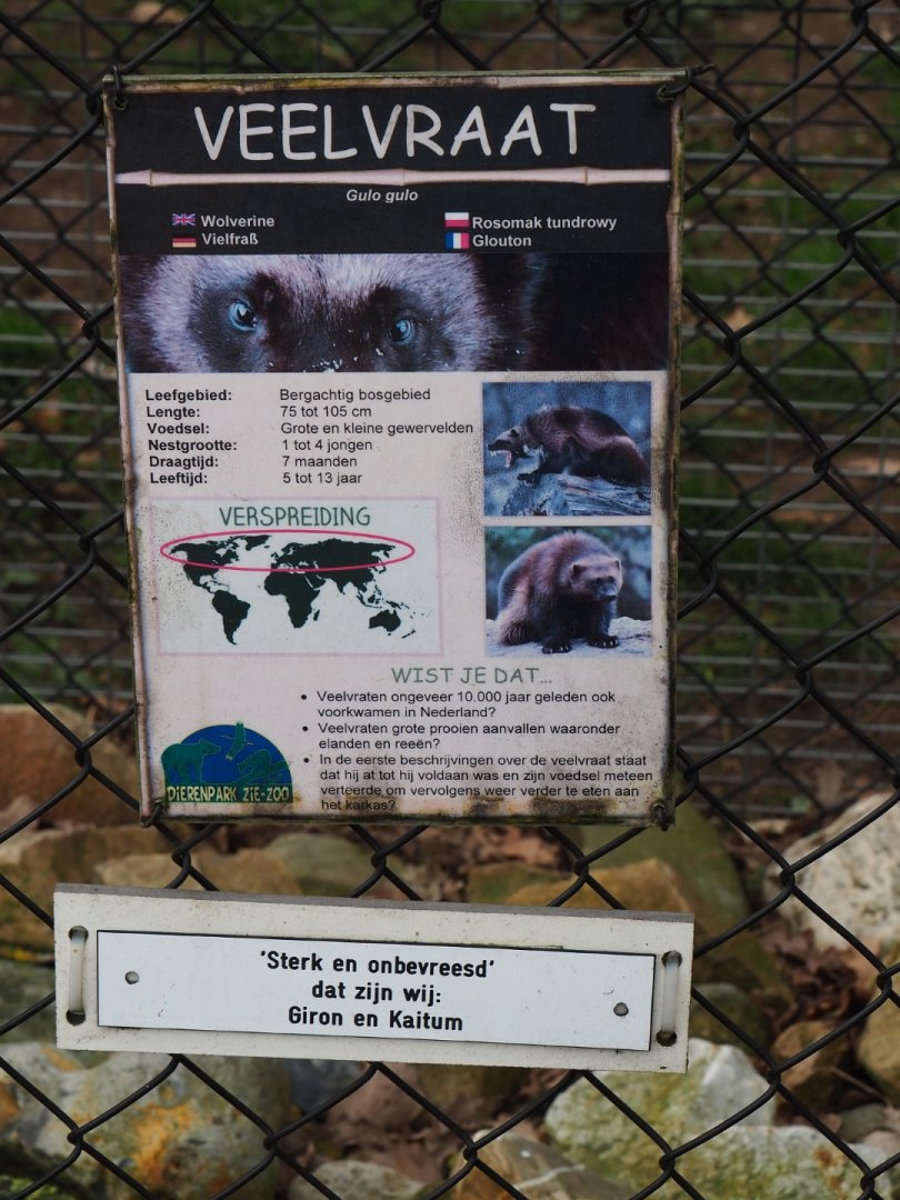 Sign wolverine, 2019-04-06