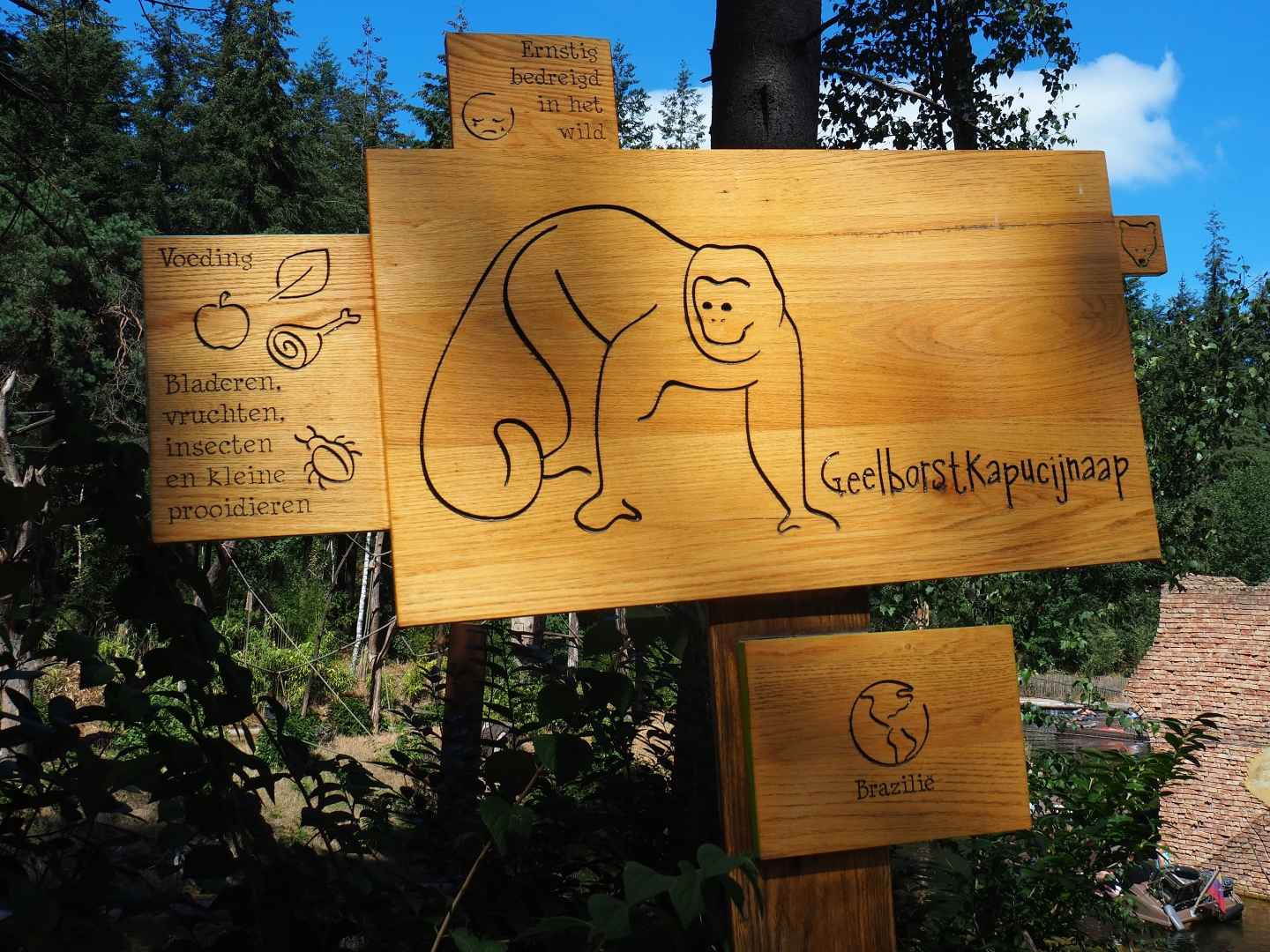 Sign yellow-breasted capuchin