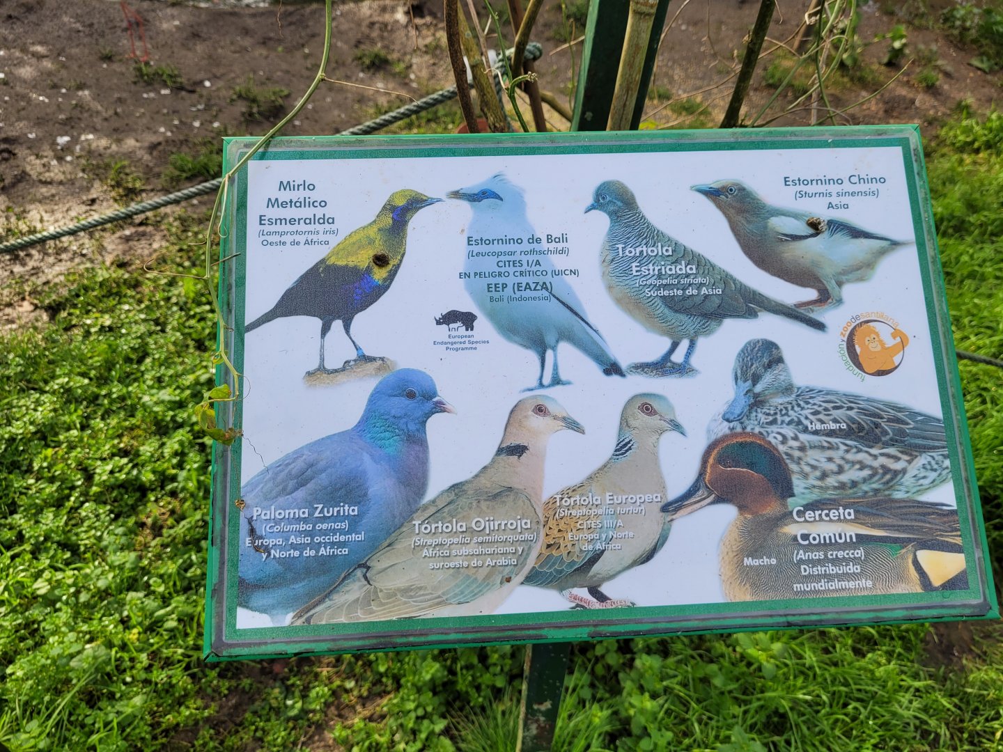 Sign -Zoo de Santillana del Mar (2023)