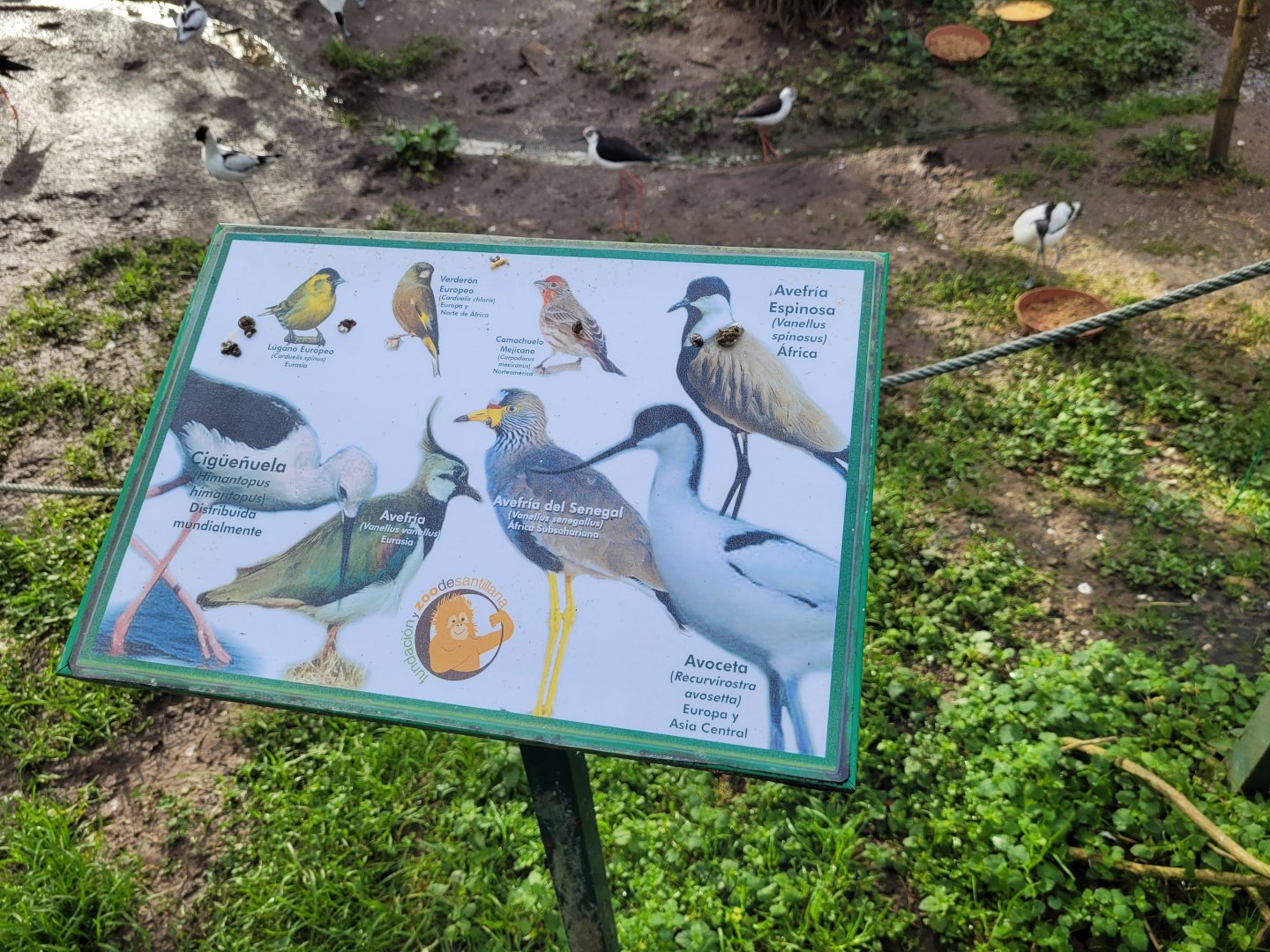 Sign -Zoo de Santillana del Mar (2023)