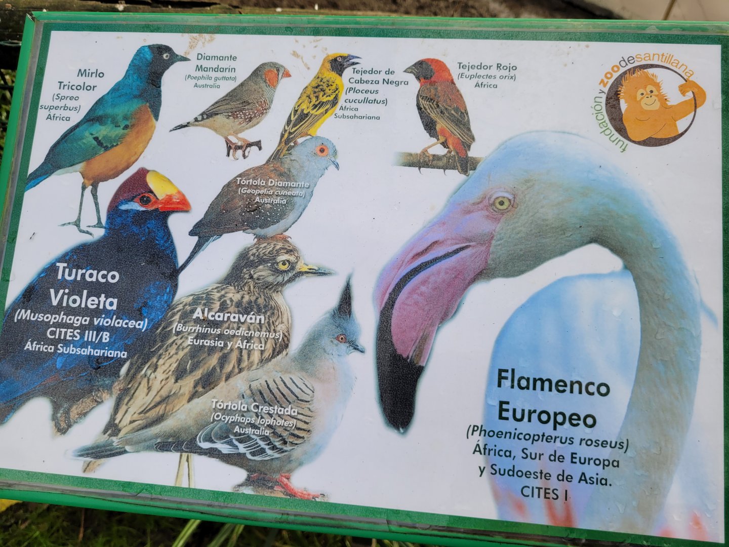 Sign -Zoo de Santillana del Mar (2023)