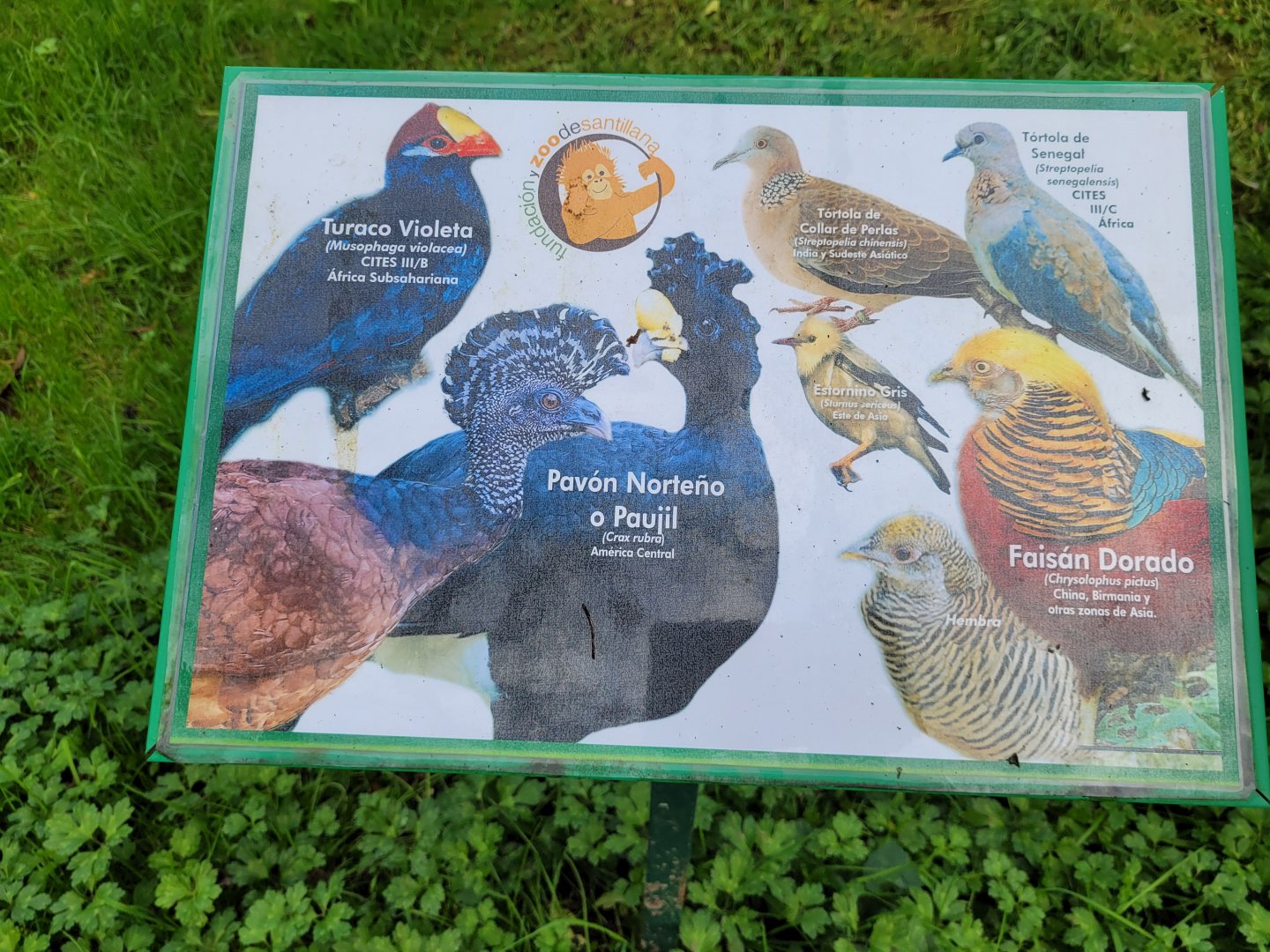 Sign -Zoo de Santillana del Mar (2023)