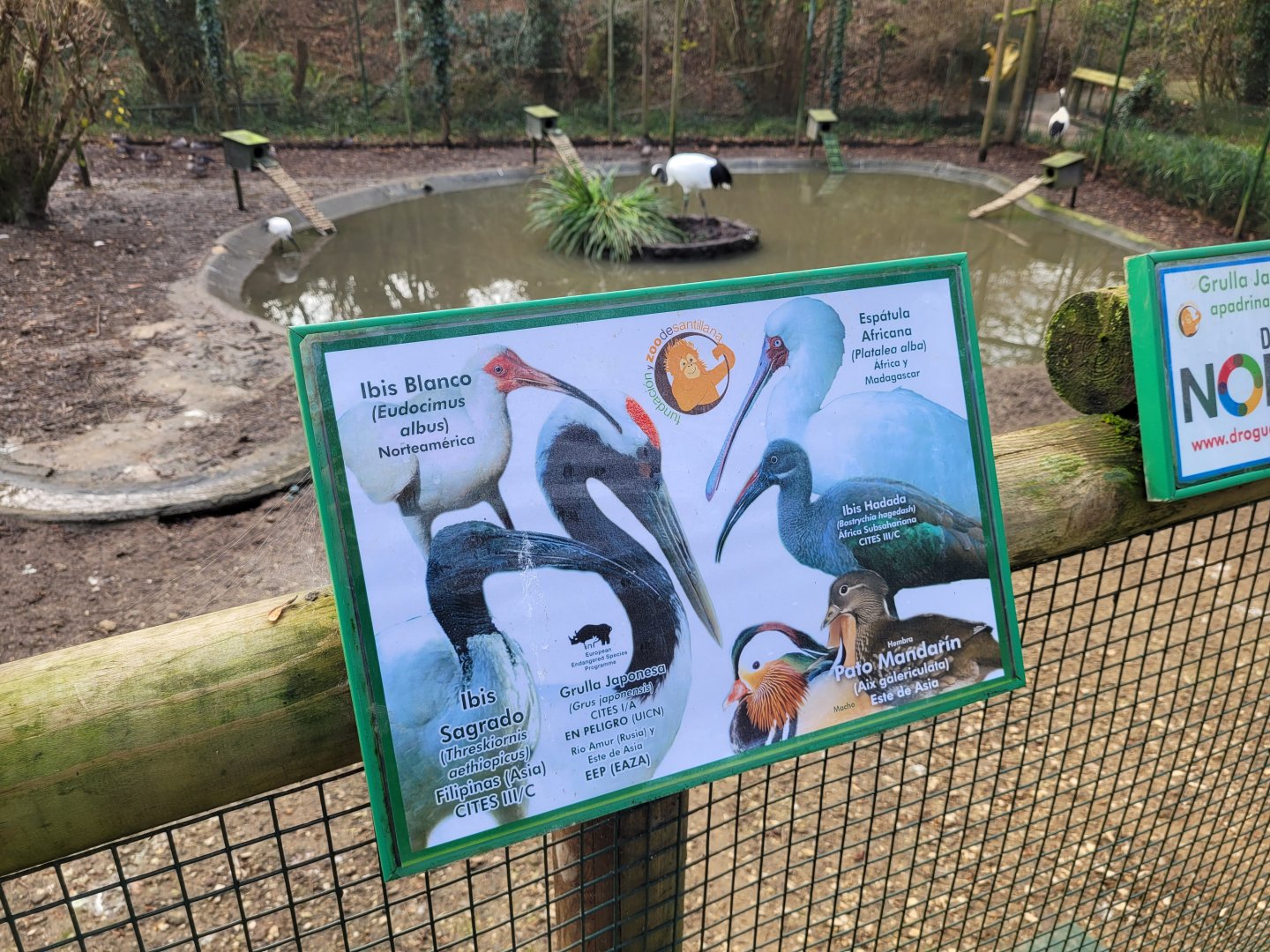 Sign -Zoo de Santillana del Mar (2023)