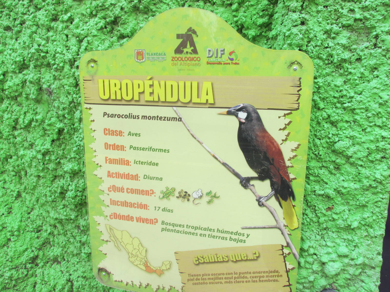 sign zoologico del altiplano