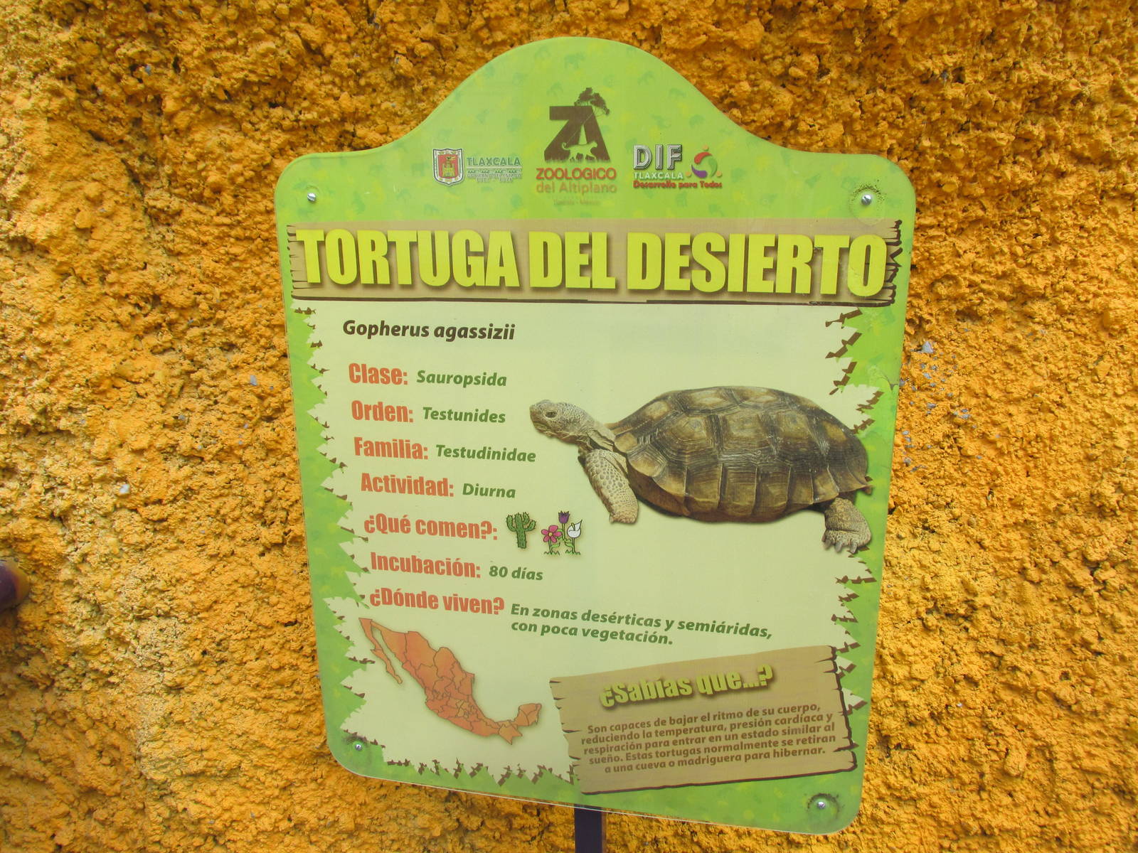 sign zoologico del altiplano