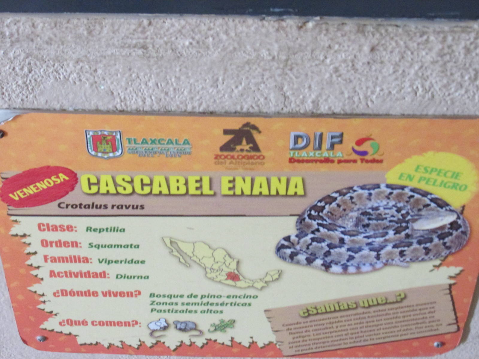 sign zoologico del altiplano