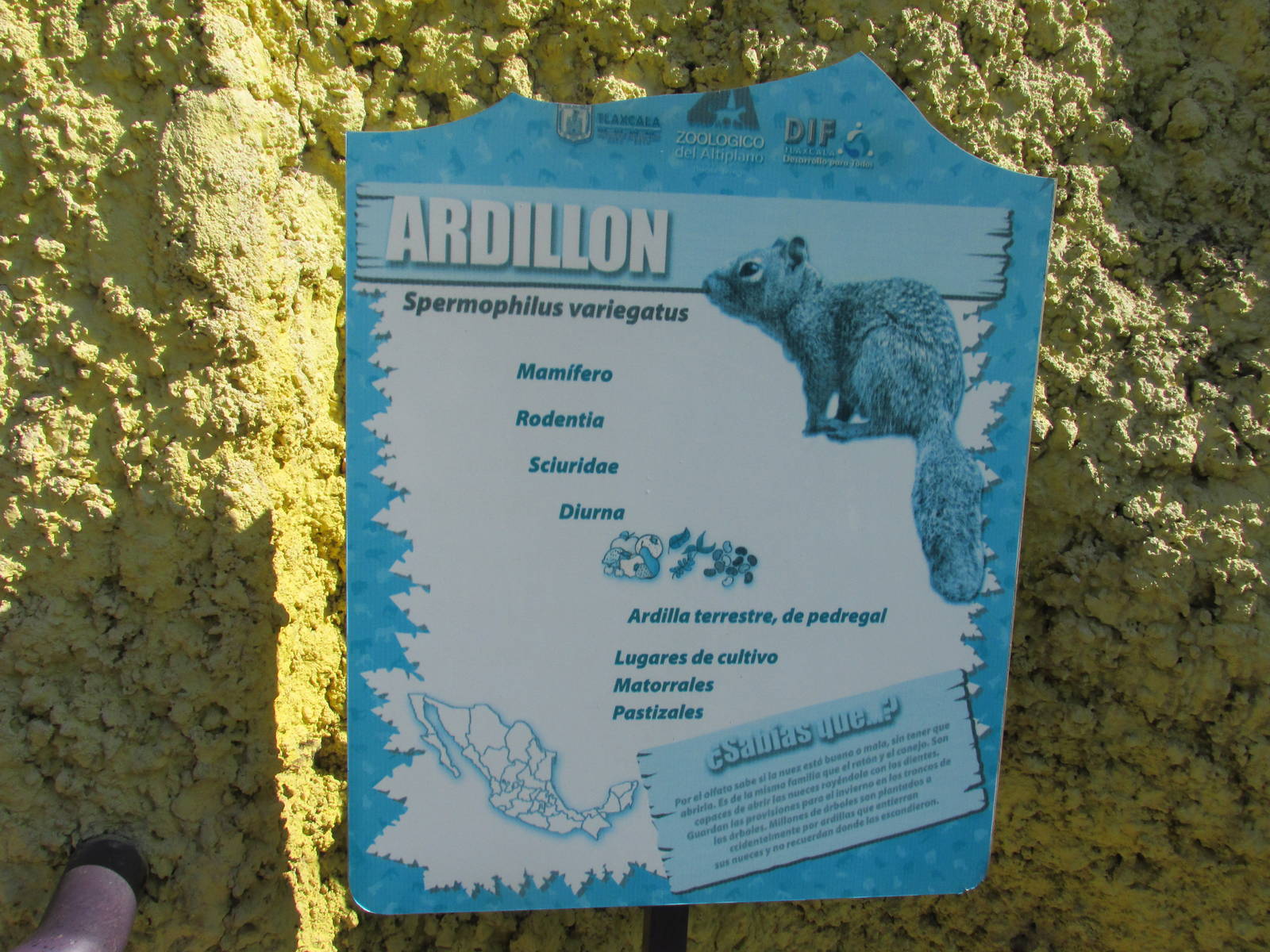 sign zoologico del altiplano