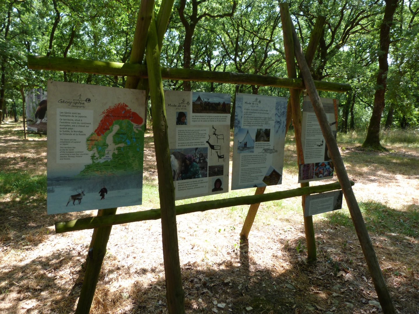 Signae about Nordic Europe -Zoodyssée (2025)