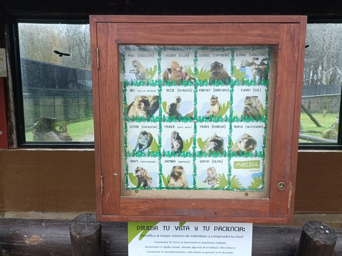 Signae -Marcelle Naturaleza