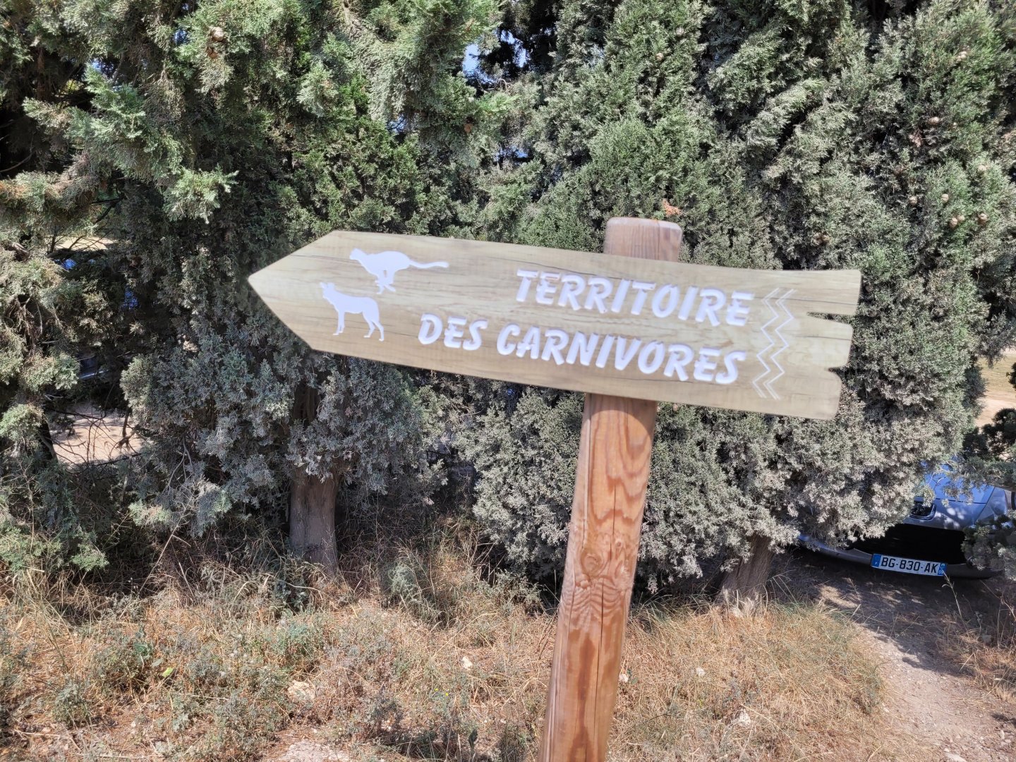 Signae -Réserve Africaine de Sigean (2022)