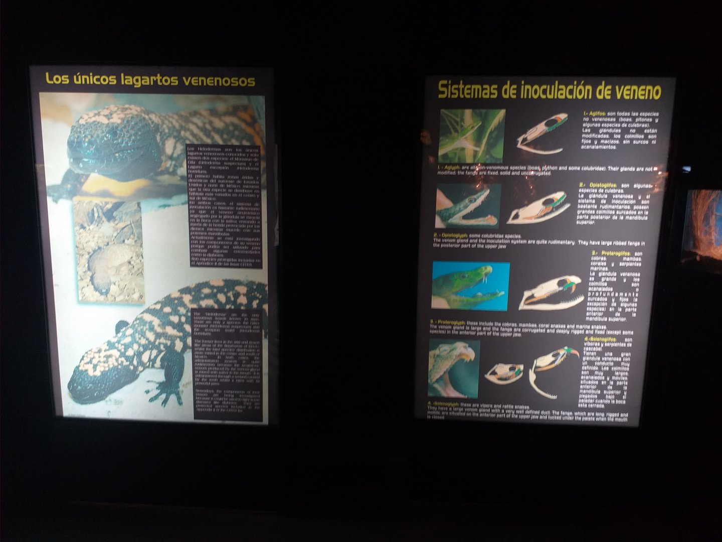 Signae -TerraNatura Benidorm (2021)