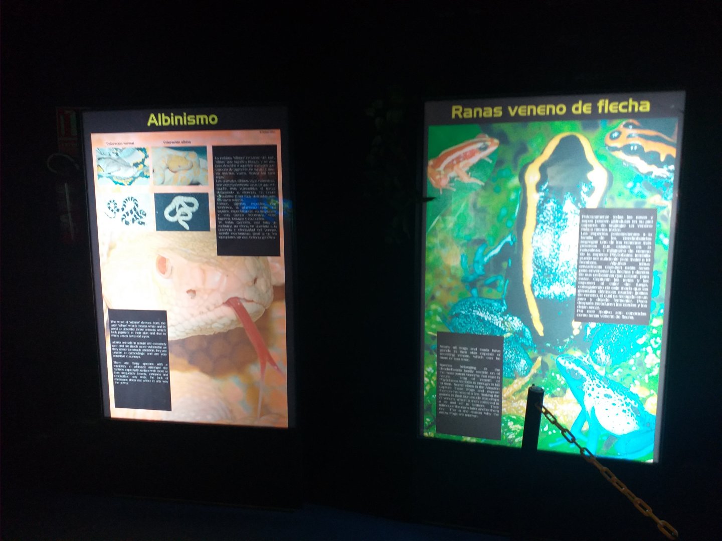 Signae -TerraNatura Benidorm (2021)