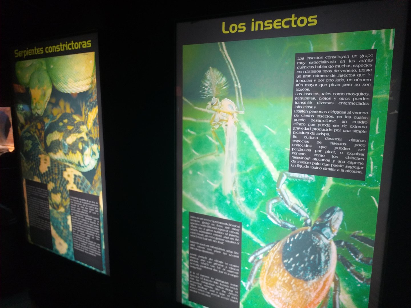 Signae -TerraNatura Benidorm (2021)