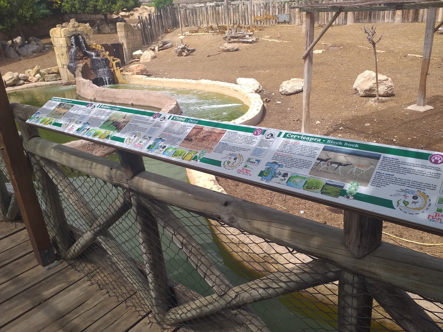 Signae -TerraNatura Benidorm (2021)